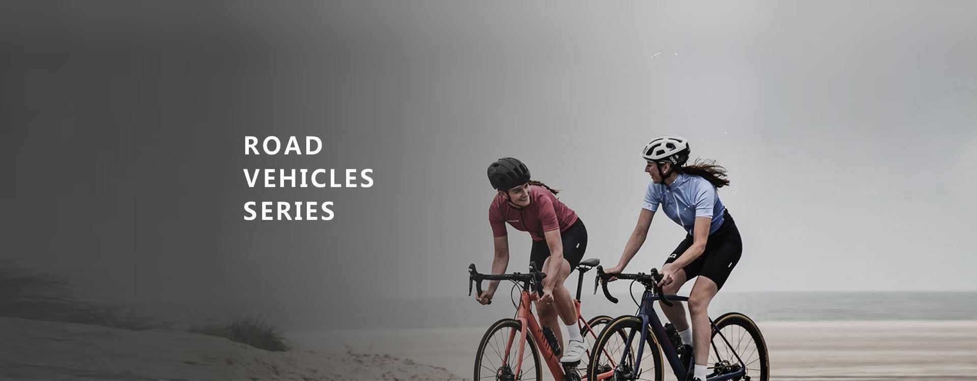 Road bikes, mountain bikes, e-bikes