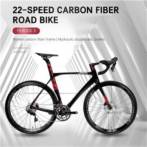 Carbon Fiber Road Bike
